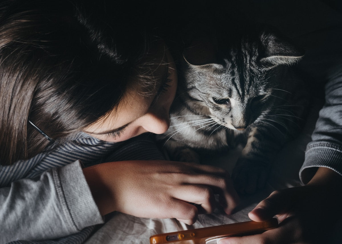 Girl holding smartphone beside her cat — how app-controlled feeders are changing pet parenting