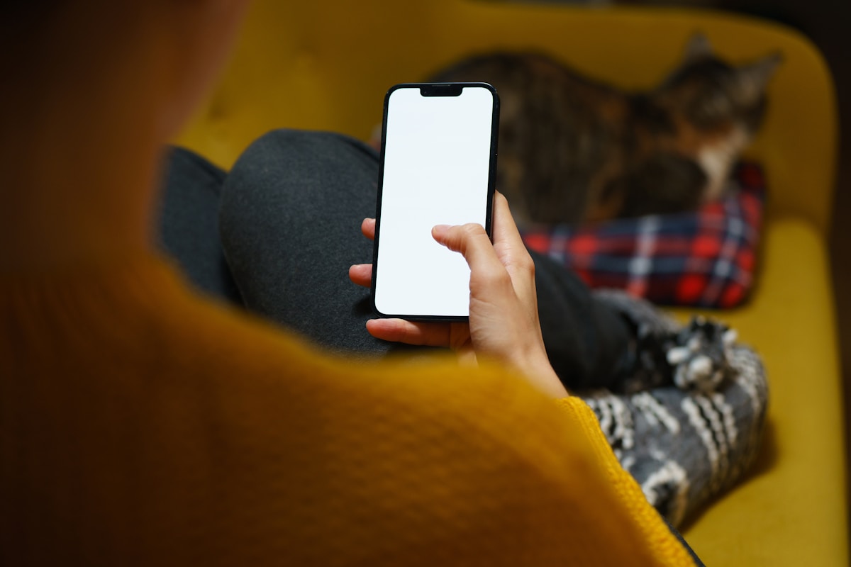Person on couch with smartphone and cat — how to set up your Kibolu smart pet feeder